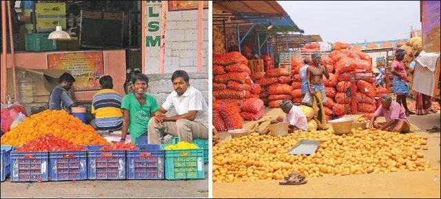 Agri Export for abundant income... Successful Strategies! Part 3