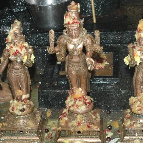 ஞானிகள், யோகிகள் வணங்கிப் போற்றிய ஞானமலை குமரன் தரிசனம்! காடு, மலை தாண்ட, கடவுளைத்தேடி..! பரவசப் பயணம் - 5