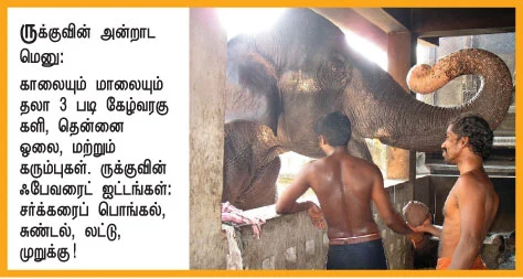 ருக்கு எங்கள் செல்லம்!