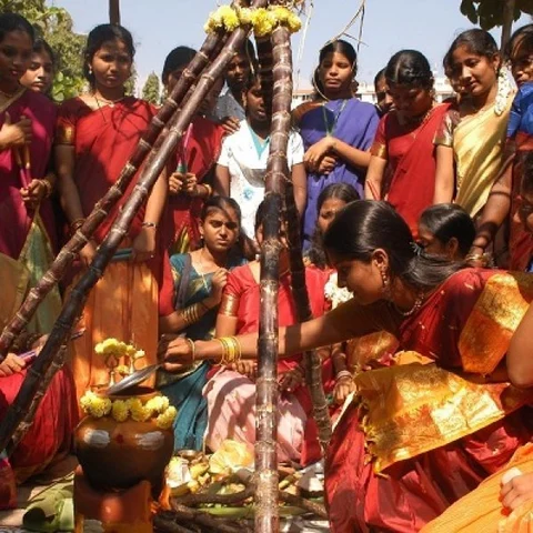 குடும்ப ஒற்றுமை, சகோதரர்கள் நலம் பெருக அருளும் கணு பூஜை #Pongal