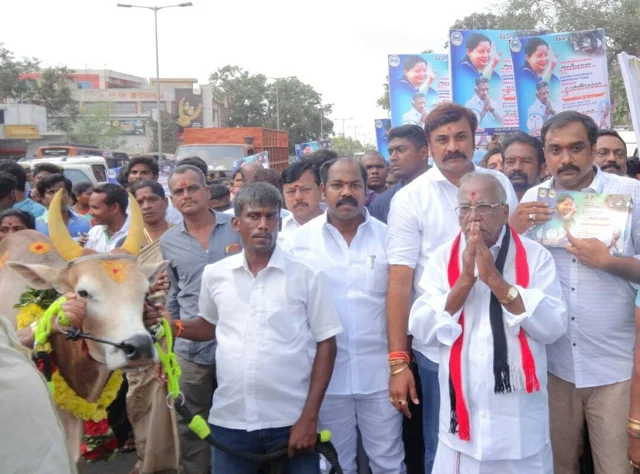 ஜல்லிக்கட்டு காளையுடன் ஆர்.கே.நகரில் வலம் வந்த மதுசூதனன்!!