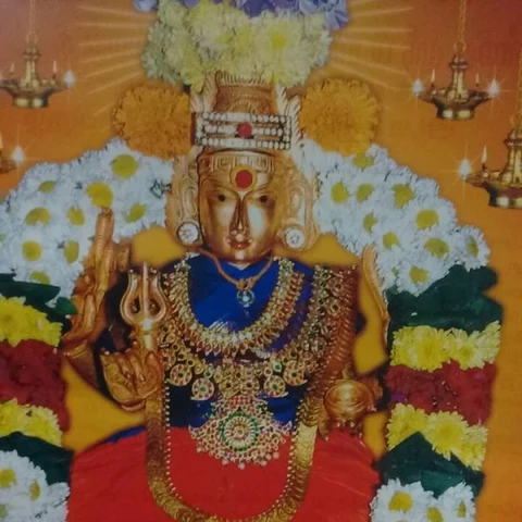 அதிகாரி, நீதிபதி, துடியான சாமி... சைதை பிடாரி இளங்காளி அம்மன்! #AadiSpecial #Video