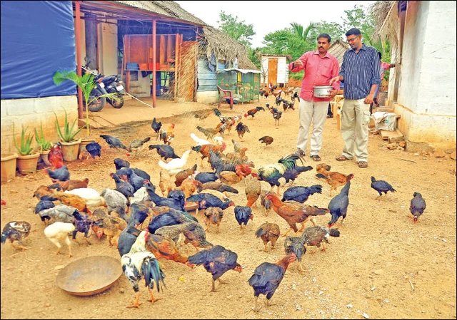 விகடன் போஸ்ட்: துரத்தப்படும் பழங்குடிகள், புதையும் தீவு, 'டிக்-டாக்' உடலியலும் உளவியலும்!