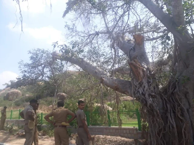 காதலர்கள் ஜோடியாக செல்வதற்கு தடை- வெறிச்சோடிய சித்தன்னவாசல்!