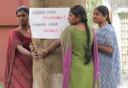 'தமிழக காடு வளர்ப்பு: ஜப்பானுக்கு இருக்கும் அக்கறை நமது அரசுக்கு இல்லையே...! '