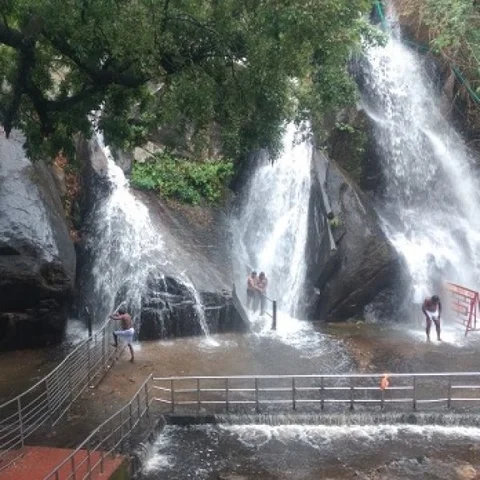 நெல்லையில் பெய்த மழையால் குற்றாலம் அருவிகளுக்கு நீர்வரத்து!