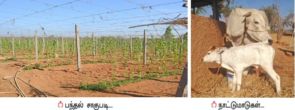 ‘‘நானும் ஒரு ஜீரோ பட்ஜெட் விவசாயி’’