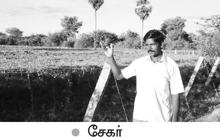 ஆடிப்பட்டம் தேடி விதை... வகை வகையாய் காய்கறிகள்...வளமான வருமானம்!