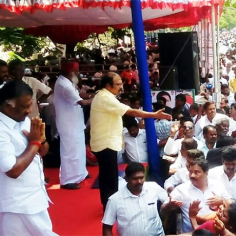 'ஓ.பன்னீர்செல்வம் அணிக்கு இவ்வளவு ஆதரவா!?' - அதிர்ச்சியில் சசிகலா, தினகரன் #VikatanExclusive
