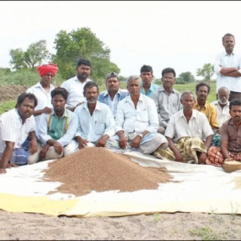 From farmer's land to vegetable market... Must know info about agri supply chain..! - Part 18
