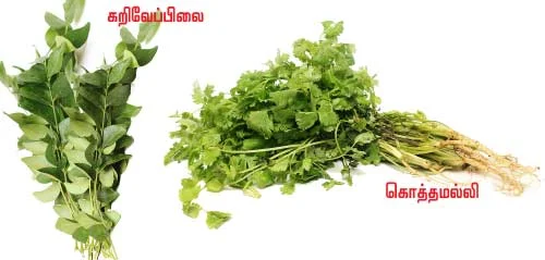 தினம் ஒரு கீரை! ஒரு கம்ப்ளீட் கைடு