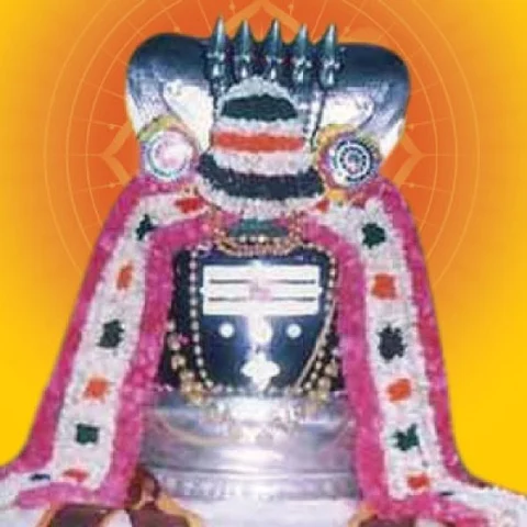 அருள்மழை பொழியும் “அமைப்பு கோயில்கள்” - Exclusive Deal.