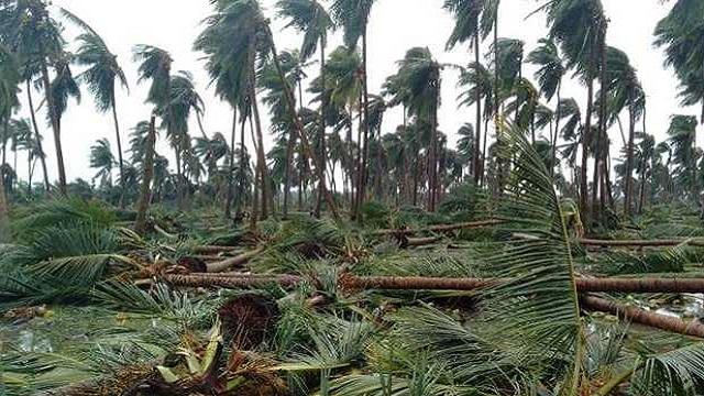 தற்கொலை செய்த விவசாயி குடும்பத்துக்கு ரூ.50,000 நிதி! - பாரதிராஜா, அமீர் வழங்கினர்