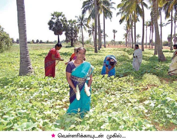 இங்கே... லாபத்தோடு, சந்தோஷமும் அறுவடையாகிறது...