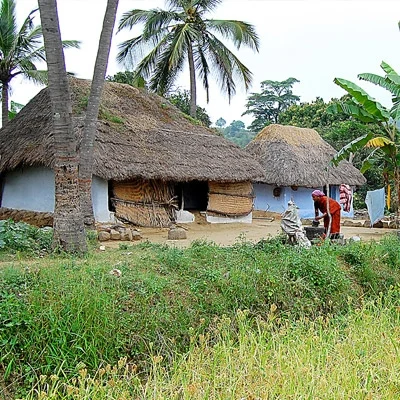 பாரம்பர்ய உணவுப் பயணம்
