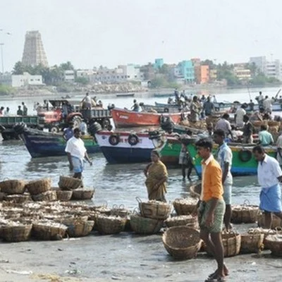 தொடர்ந்து 3வது நாளாக தமிழக மீனவர்கள் கைது: நிறுத்தப்படுமா இலங்கை ராணுவத்தின் அட்டூழியம்?
