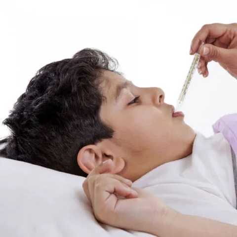Dengue Fever... Facts, Symptoms and Preventive measures