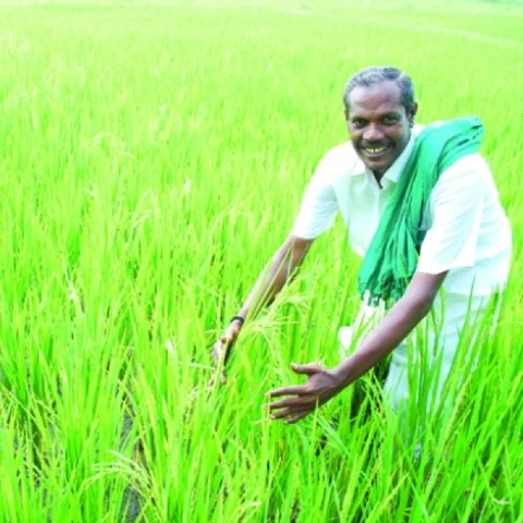 "நம்மாழ்வார் ஐயா சொல்ல காப்பாத்துவாரு... புற்றுநோயில இருந்தும் மீள்வாரு!''- நெகிழும் 'நெல்' ஜெயராமன் மனைவி