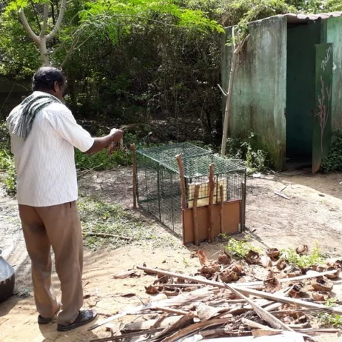 `வருவோர் போவோரைக் கடித்துக் குதறுகிறது!'- குரங்கால் நிம்மதியின்றி தவிக்கும் கிராமம்