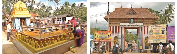 நல்லன எல்லாம் அருளும் ஸ்ரீநாகராஜர்!