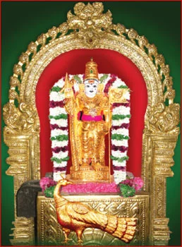 பச்சைமலை முருகனுக்கு பச்சை நிற வஸ்திரம்!