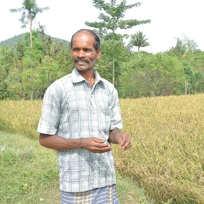 சிட்லிங்கி... இயற்கைக்குத் திரும்பிய 300 விவசாயிகளின் வெற்றிக் கதை! - 3