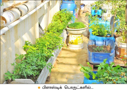 வீட்டுக்குள் விவசாயம் - 2