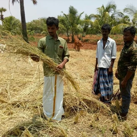 "Name of our organization is Tasmac" - Youths who abandoned their job and achieved in agriculture!