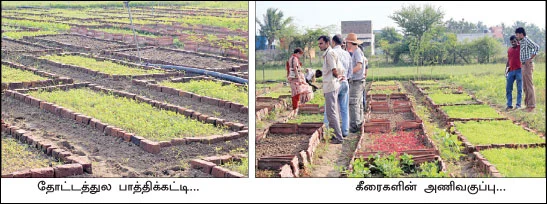 50 சென்ட்... மாதம் 30 ஆயிரம்...
