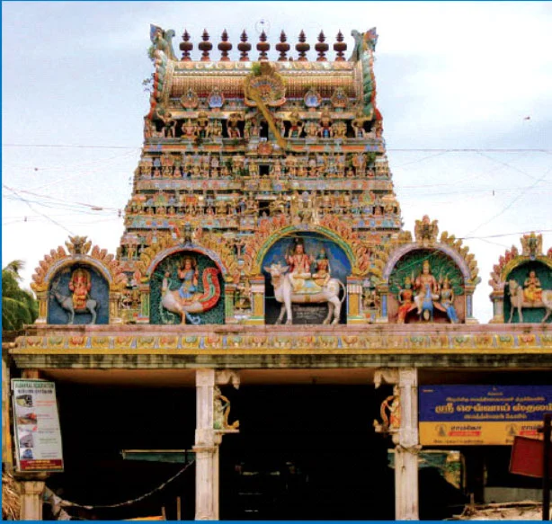 சர்க்கரை நோயைக் குணப்படுத்தும் பரிகாரத் தலங்கள்! Exclusive Deal