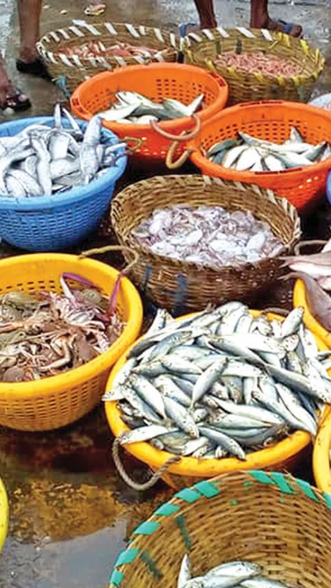 ‘பார்மலின்’ மீன்களைக் கண்டறிவது எப்படி?