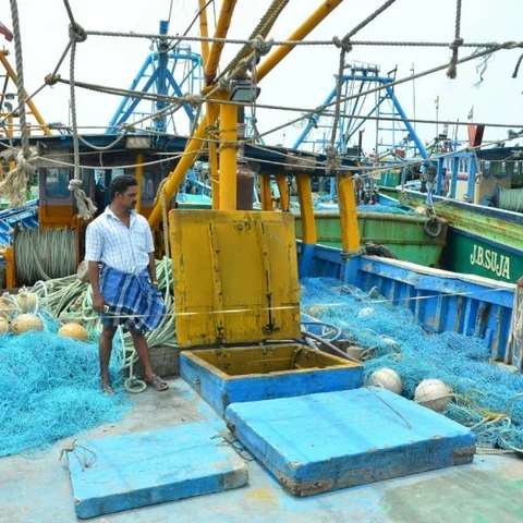 தூத்துக்குடி மீன்பிடித் துறைமுகத்தில் விசைப்படகுகள் ஆய்வுப்பணி தொடக்கம்!