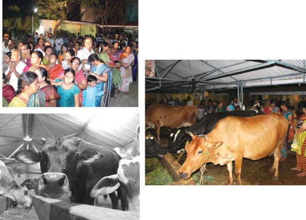 `இது கர்ப்பக்கிரகம் !'