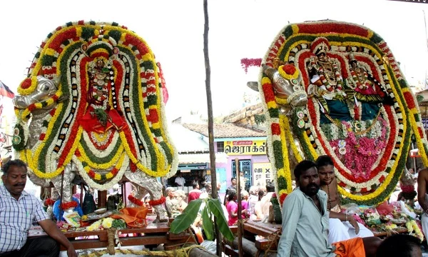 கும்பகோணத்தில் மாசி மக விழா!- புனித நீராடி, திதி கொடுத்த பக்தர்கள்
