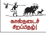 கறவை மாடு வளர்ப்பில் கவனிக்க வேண்டியவை..!