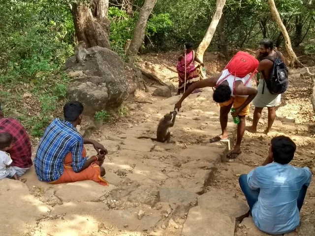 `தொட்டியிலும் இல்ல, ஊற்றிலும் இல்ல!'-தண்ணீருக்காக பக்தர்களை எதிர்நோக்கும் சதுரகிரி குரங்குகள்