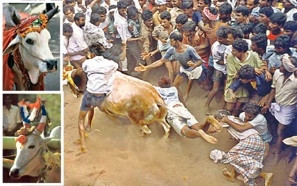 தை பிறந்தால்...வழி பிறக்கும்!
