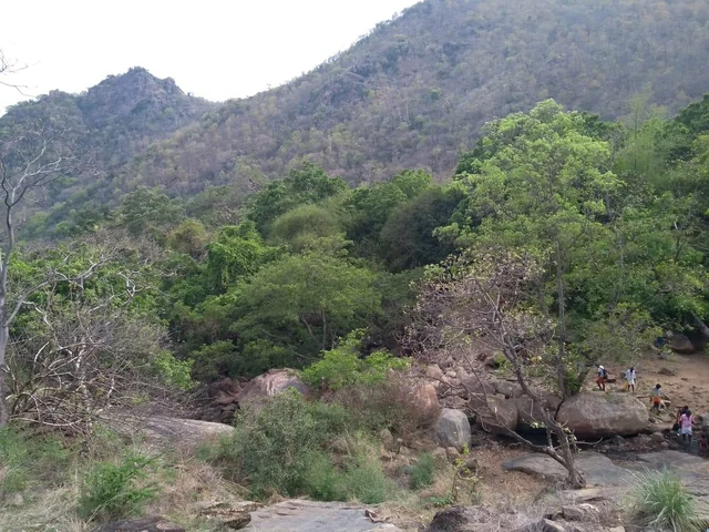 `தொட்டியிலும் இல்ல, ஊற்றிலும் இல்ல!'-தண்ணீருக்காக பக்தர்களை எதிர்நோக்கும் சதுரகிரி குரங்குகள்