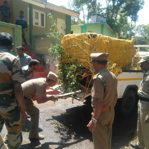 காேத்தகிரியில் பாெதுமக்களை அச்சுறுத்திய கரடிகள் - கூண்டு வைத்து பிடித்த வனத்துறை