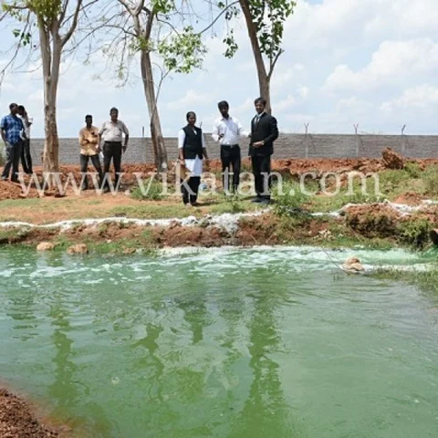தாமிரபரணியில் கலக்கும் பாதாளச் சாக்கடை கழிவு நீர்! - நீதிமன்றம் ஆய்வு