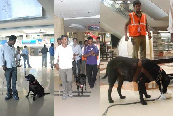 ஆவடி ரயில் நிலையம், எக்ஸ்பிரஸ் அவென்யூ உள்பட 4 இடங்களுக்கு வெடிகுண்டு மிரட்டல்! (படங்கள்)