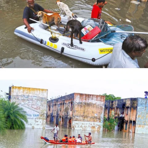 சென்னை மழையின் மீள்நினைவுகள் அத்தியாயம்-2 மனநலம் குன்றியோர் பள்ளியைப் புரட்டி போட்ட அடையாறு வெள்ளம்