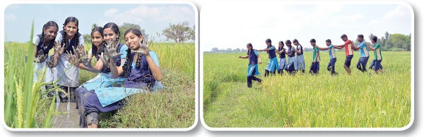 வயலுக்குச் சென்றோம் விவசாயம் படித்தோம்!