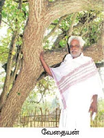 புதையல் கொடுக்கும் பூவரசு !