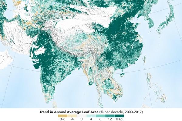 ``20 ஆண்டுகளில் இல்லாத பசுமை; இந்தியா மற்றும் சீனாவுக்கு பாராட்டுகள்” - நாசா #NASA