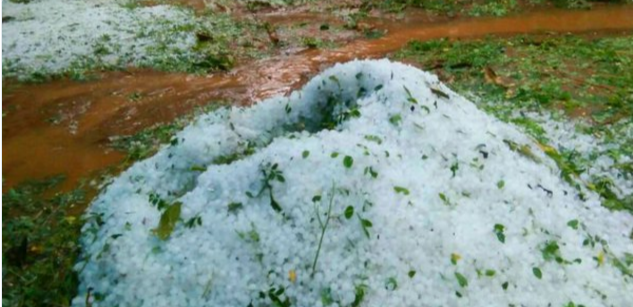 இப்படி ஆலங்கட்டி மழை அடித்தால்.. எப்படி குடை பிடிக்க..!