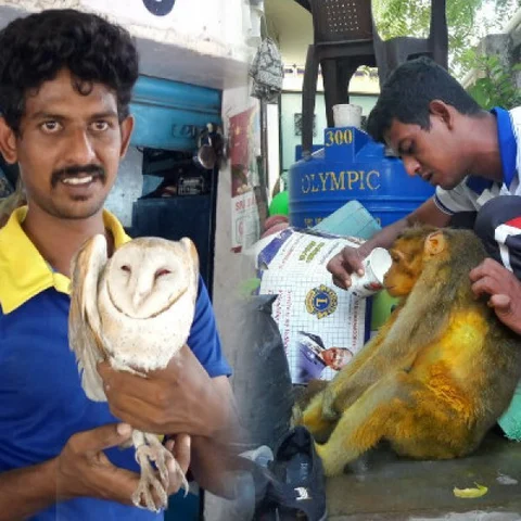 "இங்கே வாழ்வதற்கு எல்லா உயிர்களுக்கும் உரிமை உண்டு".. உரக்கச் சொல்லும் 'ஊர்வனம்' அமைப்பு