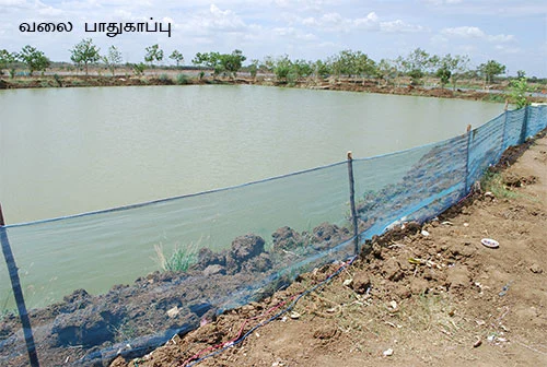 ஒரு ஏக்கர்... 100 நாள்... 2,00,000