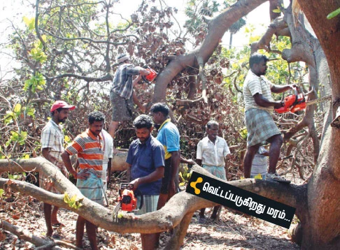 'தானே' துயர் துடைத்தோம்!