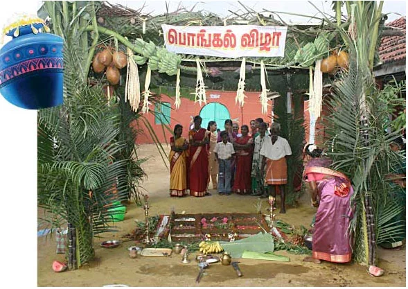 தை பிறந்தால்...வழி பிறக்கும்! - பொங்கலோ பொங்கல்!
